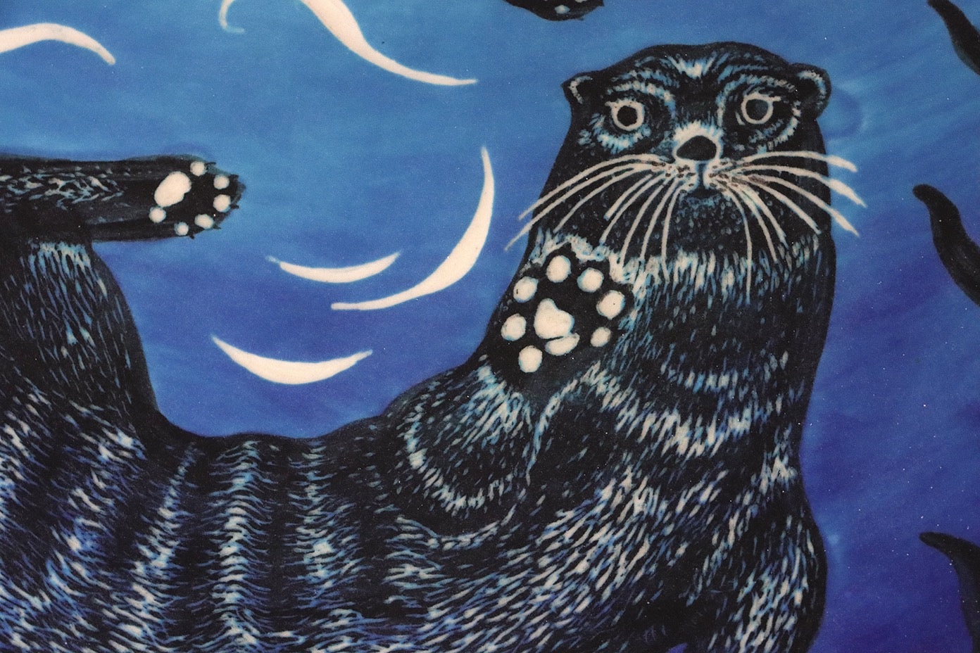 Otter Caper