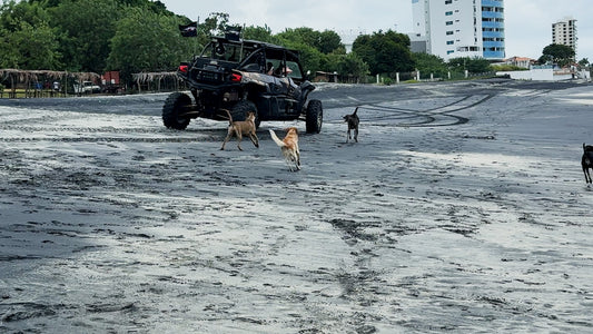 Running Free
