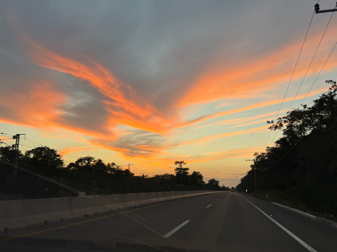 Finding My Way Back to Stillness