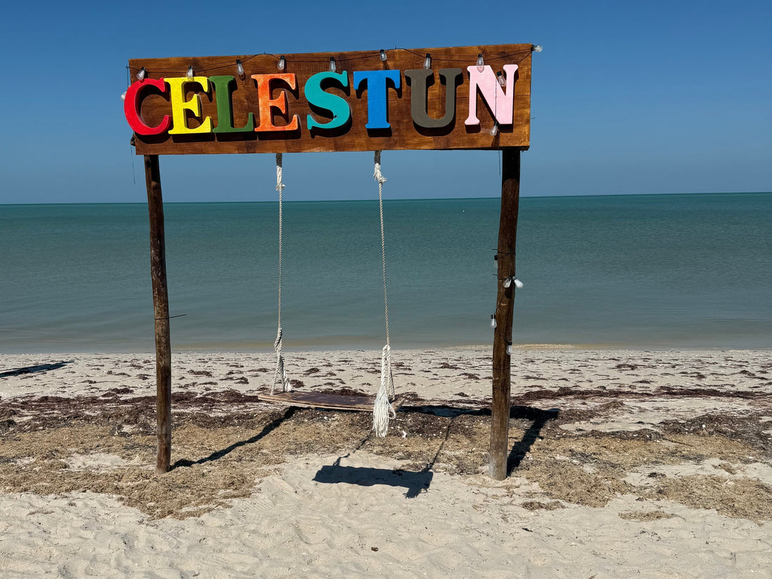 My Heart, in the Shape of a Flamingo