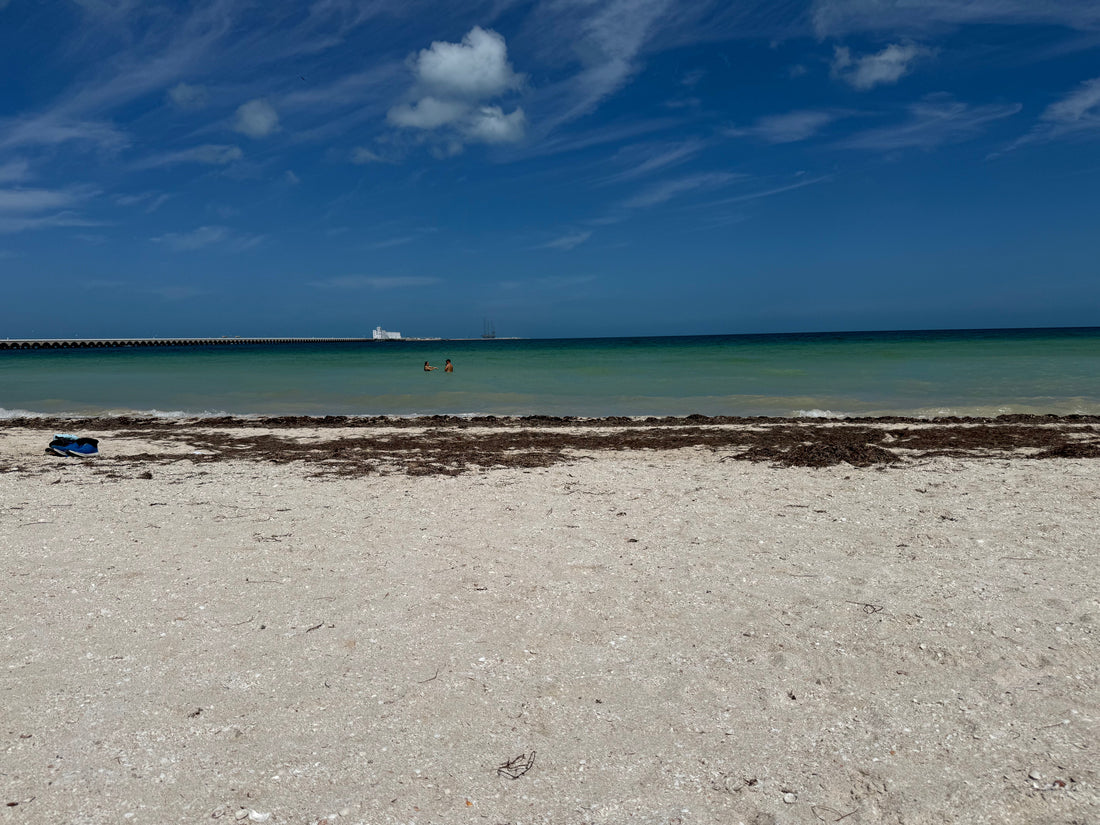 Curiosity, Learning, and a Trip to Mama