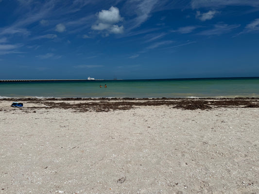 Curiosity, Learning, and a Trip to Mama